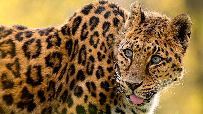 Plan en familia en BBK Karpin Fauna &iexcl;Entradas limitadas! image number 1